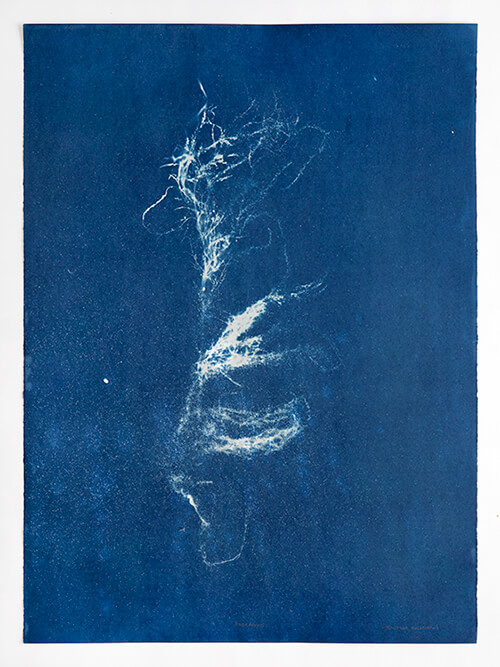 Grafiek van Christine Hallstrom